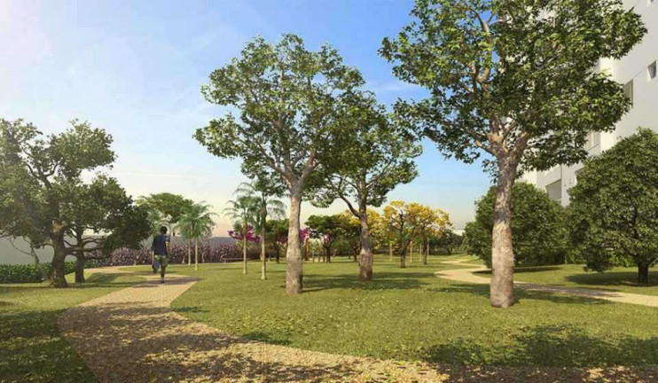 Imagem Apartamento com 3 Quartos à Venda, 72 m² em Vila Leonor - Guarulhos