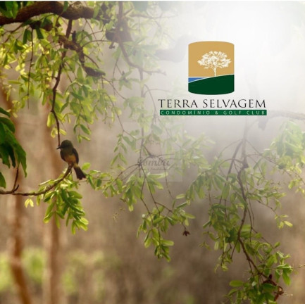 Imagem Terreno à Venda, 1.125 m² em área Rural De Cuiabá - Cuiabá Imagem Terreno à Venda, 1.125 m² em área Rural De Cuiabá - Cuiabá