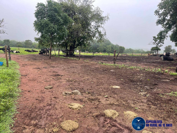 Imagem Chácara à Venda, 8 m² em Zona Rural - Matrinchã Imagem Chácara à Venda, 8 m² em Zona Rural - Matrinchã