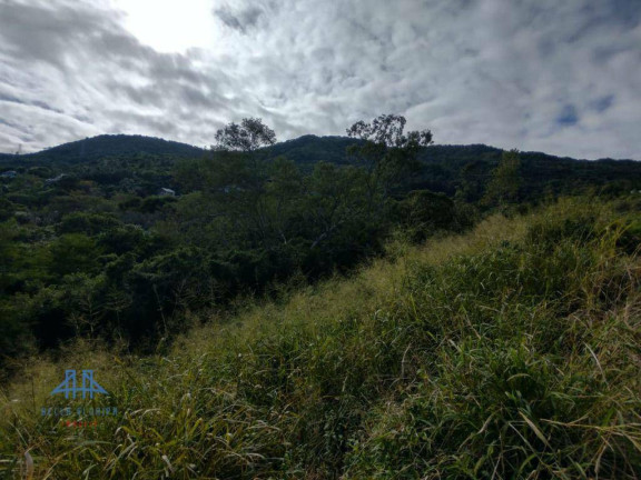 Imagem Terreno à Venda, 533 m² em Itacorubi - Florianópolis