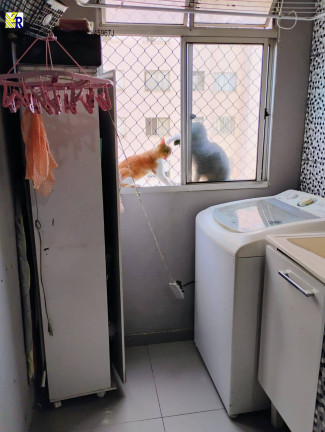 Imagem Apartamento com 2 Quartos à Venda, 50 m² em Belenzinho - São Paulo Imagem Apartamento com 2 Quartos à Venda, 50 m² em Belenzinho - São Paulo