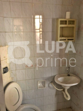 Imagem Casa com 1 Quarto para Alugar, 60 m² em Vila Maria Alta - São Paulo Imagem Casa com 1 Quarto para Alugar, 60 m² em Vila Maria Alta - São Paulo