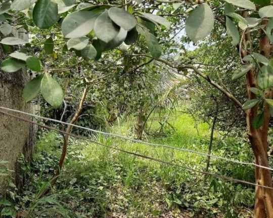 Imagem Terreno para Alugar,  em Piratininga - Niterói
