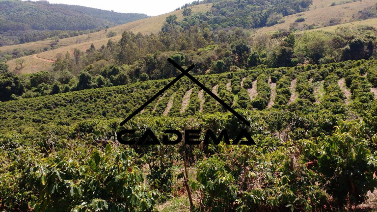 Imagem Fazenda à Venda, 60 m² em Zona Rural - Monte Sião