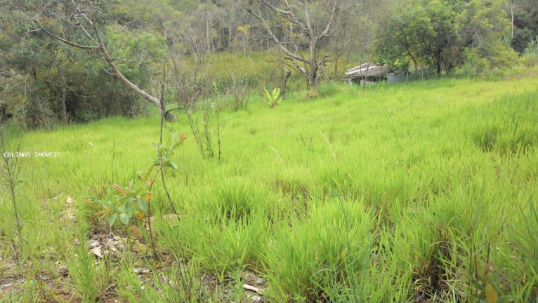 Imagem Terreno à Venda,  em Antes Do Centro - Ibiúna