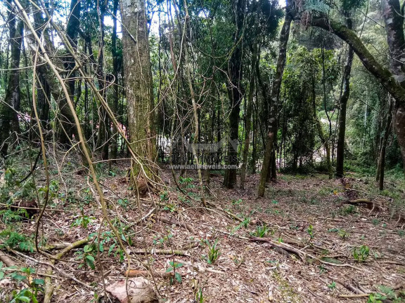 Imagem Terreno à Venda, 1 m² em Nova Capivari - Campos Do Jordão Imagem Terreno à Venda, 1 m² em Nova Capivari - Campos Do Jordão