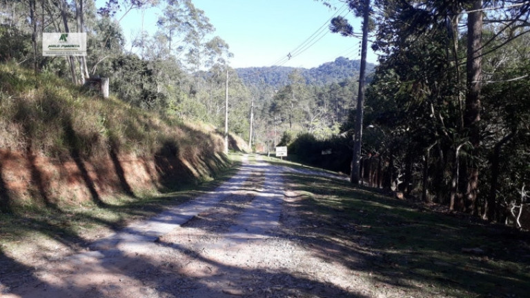 Imagem Terreno à Venda, 1.400 m² em Caete (mailasqui) - São Roque Imagem Terreno à Venda, 1.400 m² em Caete (mailasqui) - São Roque