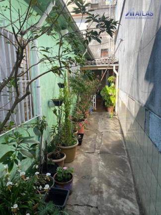 Imagem Casa com 3 Quartos à Venda, 200 m² em Vila Maria Alta - São Paulo