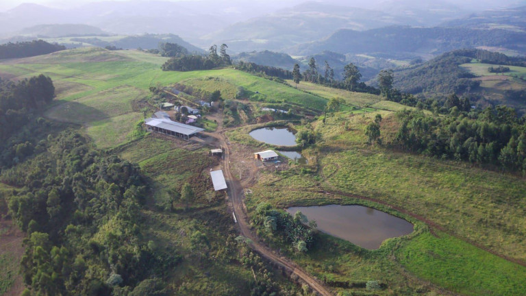 Imagem Terreno à Venda, 360.000 m² em Interior - Concórdia Imagem Terreno à Venda, 360.000 m² em Interior - Concórdia