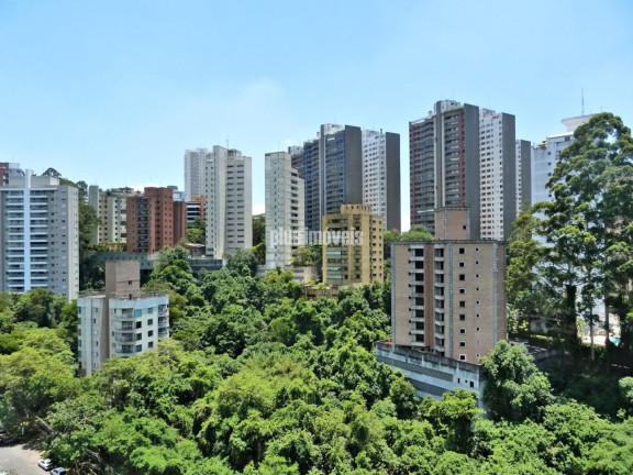 Imagem Apartamento com 3 Quartos à Venda, 78 m² em Panamby - São Paulo