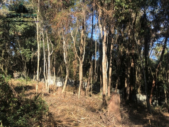 Imagem Terreno em Condomínio à Venda, 500 m² em Paisagem Renoir - Cotia Imagem Terreno em Condomínio à Venda, 500 m² em Paisagem Renoir - Cotia