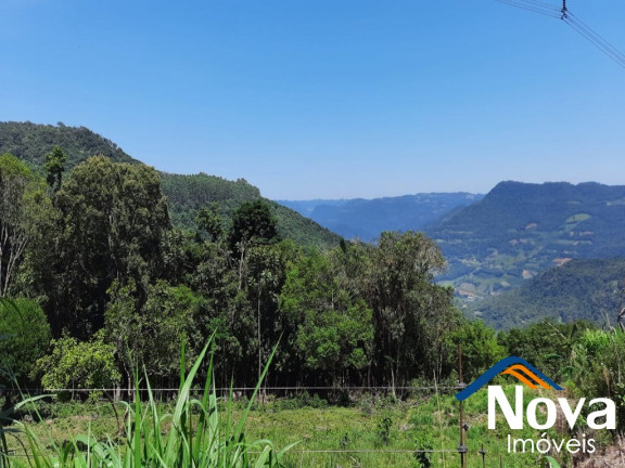 Imagem Imóvel à Venda, em Linha Pirajá Alta - Nova Petrópolis Imagem Imóvel à Venda, em Linha Pirajá Alta - Nova Petrópolis