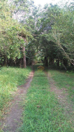 Imagem Chácara com 6 Quartos à Venda, 65.000 m² em Aldeia - Camaragibe
