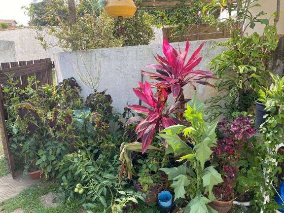 Imagem Casa com 2 Quartos à Venda, 100 m² em Centro (praia Seca) - Araruama