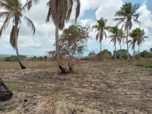 Imagem Terreno à Venda, 63 m² em Goianinha Imagem Terreno à Venda, 63 m² em Goianinha