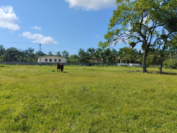 Imagem Terreno à Venda, 12.291 m² em Centro - Araquari Imagem Terreno à Venda, 12.291 m² em Centro - Araquari