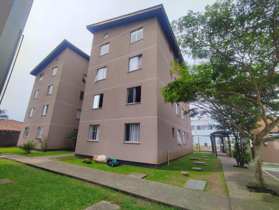 Imagem Apartamento com 2 Quartos à Venda, 44 m² em Ouro Fino - São José Dos Pinhais