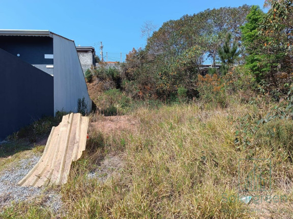 Imagem Terreno à Venda, 250 m² em Corumbá (terra Preta) - Mairiporã Imagem Terreno à Venda, 250 m² em Corumbá (terra Preta) - Mairiporã