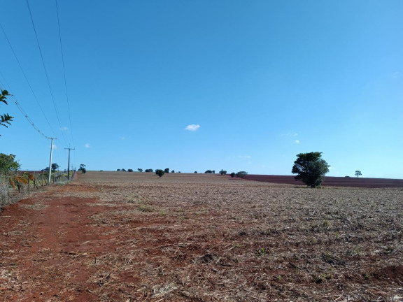 Imagem Chácara à Venda, 29 m² em Rural - Avaré Imagem Chácara à Venda, 29 m² em Rural - Avaré