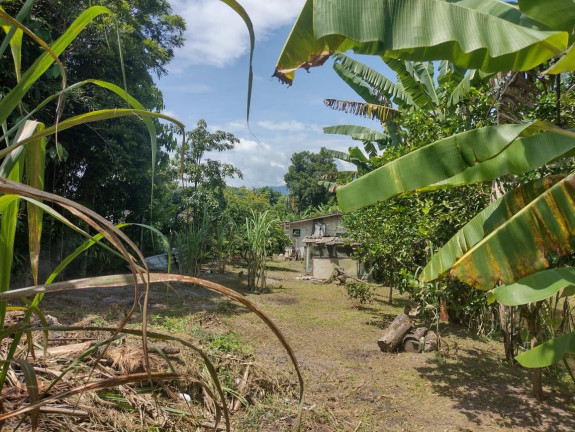 Imagem Fazenda à Venda, em Rio Das Pedras - Paranagua Imagem Fazenda à Venda, em Rio Das Pedras - Paranagua