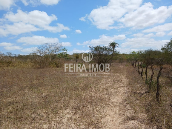 Imagem Terreno à Venda, 13.750 m² em Centro - Feira De Santana Imagem Terreno à Venda, 13.750 m² em Centro - Feira De Santana