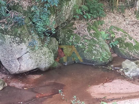 Imagem Imóvel com 2 Quartos à Venda, em Ribeirão De Imaruí - Imaruí Imagem Imóvel com 2 Quartos à Venda, em Ribeirão De Imaruí - Imaruí