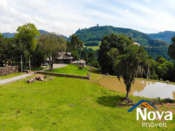 Imagem Imóvel à Venda, 50.000 m² em Linha Brasil - Nova Petrópolis