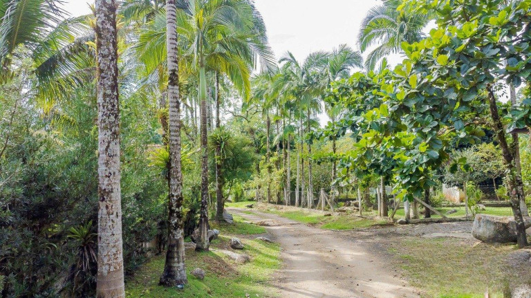 Imagem Imóvel com 5 Quartos à Venda, 11.577 m² em Rio Sagrado - Morretes