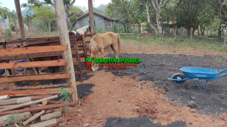 Imagem Chácara com 3 Quartos à Venda, 3.000 m² em Centro - Paraibuna Imagem Chácara com 3 Quartos à Venda, 3.000 m² em Centro - Paraibuna