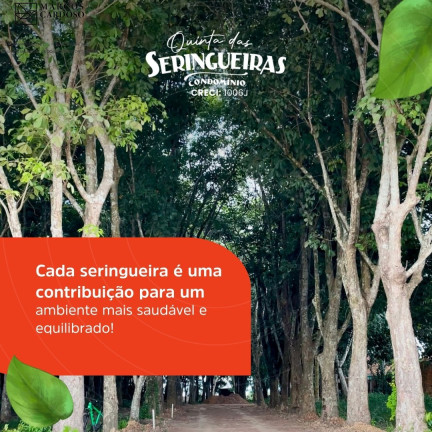 Imagem Terreno à Venda, 250 m² em Pirapora - Castanhal Imagem Terreno à Venda, 250 m² em Pirapora - Castanhal