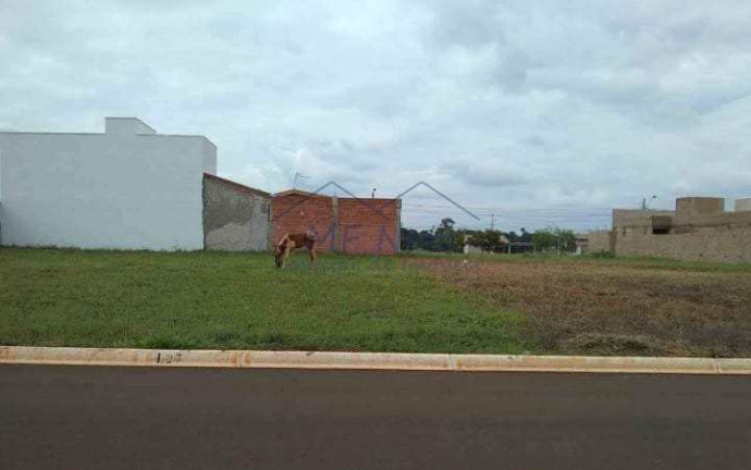 Terreno à Venda, 286 m² em Jardim São João - Pirassununga