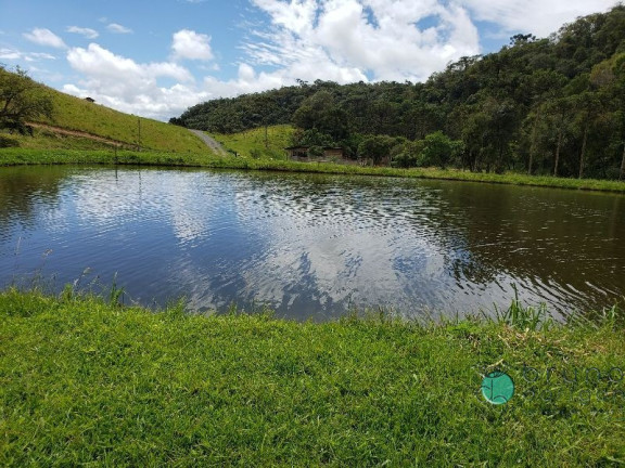 Imagem Imóvel com 3 Quartos à Venda, 350.000 m² em Zona Rural - Bom Retiro