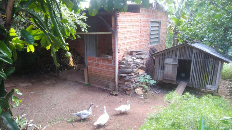 Imagem Terreno à Venda, 360 m² em Campestre - São Leopoldo Imagem Terreno à Venda, 360 m² em Campestre - São Leopoldo