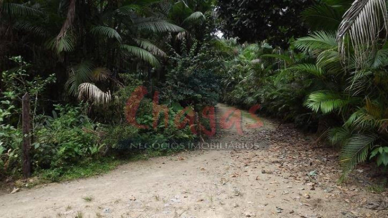 Imagem Terreno à Venda, 39.000 m² em Massaguaçu - Caraguatatuba