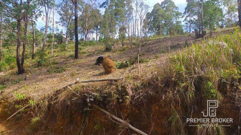 Imagem Terreno à Venda, 1.000 m² em Albuquerque - Teresópolis Imagem Terreno à Venda, 1.000 m² em Albuquerque - Teresópolis