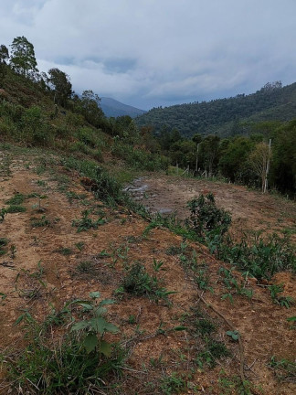Imagem Terreno à Venda, 3.600 m² em Albuquerque - Teresópolis Imagem Terreno à Venda, 3.600 m² em Albuquerque - Teresópolis