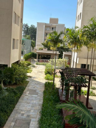Imagem Imóvel com 3 Quartos à Venda, 80 m² em Jardim Nova Europa - Campinas