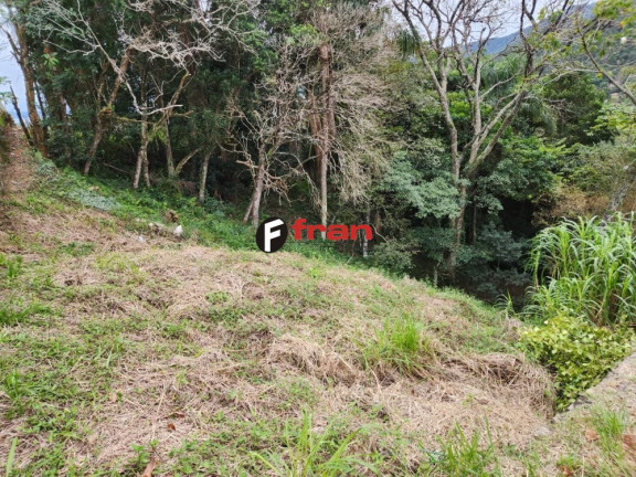 Imagem Imóvel à Venda, 794 m² em Córrego Grande - Florianópolis Imagem Imóvel à Venda, 794 m² em Córrego Grande - Florianópolis