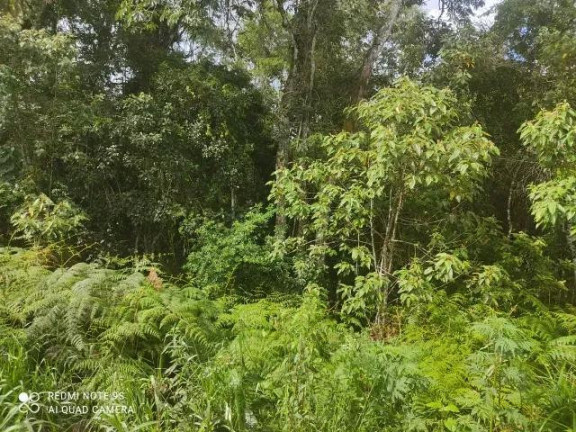 Imagem Imóvel à Venda, 174.240 m² em Sao Silvestre - Campo Largo Imagem Imóvel à Venda, 174.240 m² em Sao Silvestre - Campo Largo