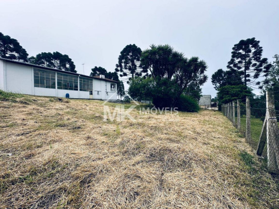 Imagem Chácara com 3 Quartos à Venda, 407 m² em Borda Do Campo (quatro Barras) Imagem Chácara com 3 Quartos à Venda, 407 m² em Borda Do Campo (quatro Barras)