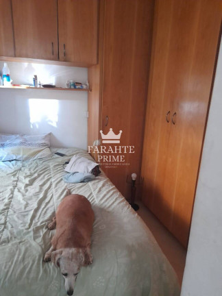 Imagem Apartamento com 2 Quartos à Venda, 50 m² em Cambuci - São Paulo Imagem Apartamento com 2 Quartos à Venda, 50 m² em Cambuci - São Paulo