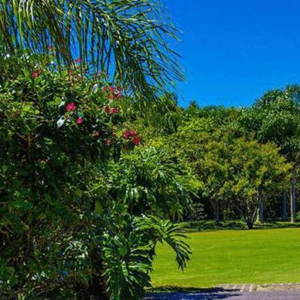 Imagem Terreno à Venda, em Ingleses Do Rio Vermelho - Florianópolis Imagem Terreno à Venda, em Ingleses Do Rio Vermelho - Florianópolis