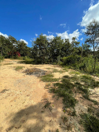 Imagem Chácara com 2 Quartos à Venda, 7.800 m² em Quintas Da Capela Nova - Itatiaiuçu