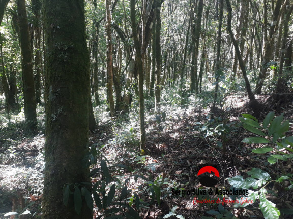 Imagem Terreno à Venda, 1 m² em Campos Do Jordão Imagem Terreno à Venda, 1 m² em Campos Do Jordão