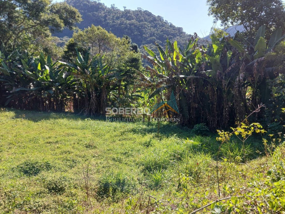 Imagem Imóvel com 3 Quartos à Venda, 70.000 m² em Vargem Grande - Teresópolis