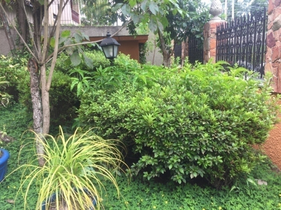 Imagem Casa com 4 Quartos à Venda, 550 m² em Interlagos - São Paulo
