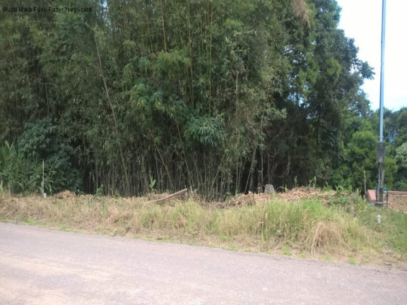 Terreno à Venda, 394 m² em Linha Olinda - Nova Petrópolis