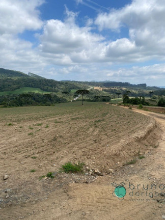 Imagem Imóvel à Venda, 1.600.000 m² em Zona Rural - Vidal Ramos Imagem Imóvel à Venda, 1.600.000 m² em Zona Rural - Vidal Ramos