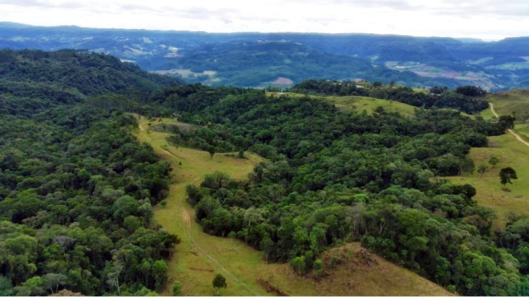 Imagem Imóvel com 2 Quartos à Venda, 950.000 m² em Zona Rural - Presidente Nereu