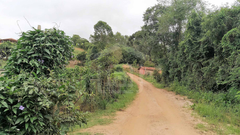 Imagem Imóvel com 1 Quarto à Venda, 20.000 m² em Capituvas (rural) - Bandeira Do Sul
